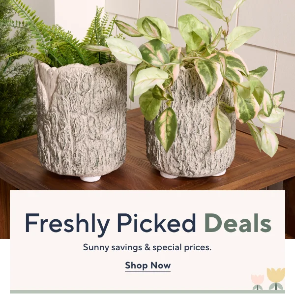 Freshly Picked Deals