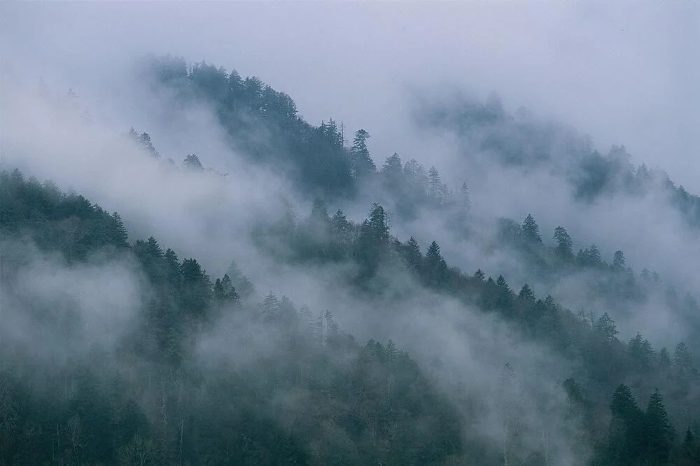 A view of the majestic beauty that typifies the Great Smoky Mountains from the road along Clingman's Dome, the park's highest elevation at 6643 feet.