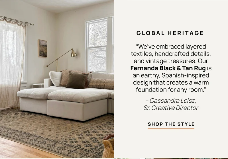 Fernanda Black & Tan Rug - Shop the Style