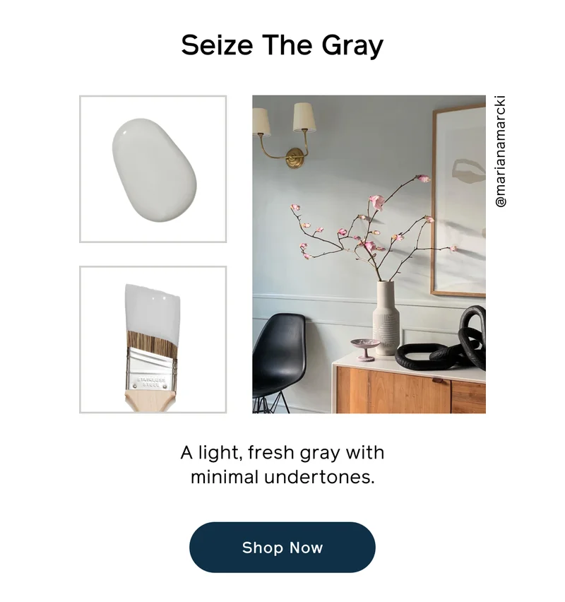Seize The Gray. A light, fresh gray with minimal undertones. Shop Now