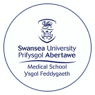 UK Government research grant in partnership with Swansea Medical School
