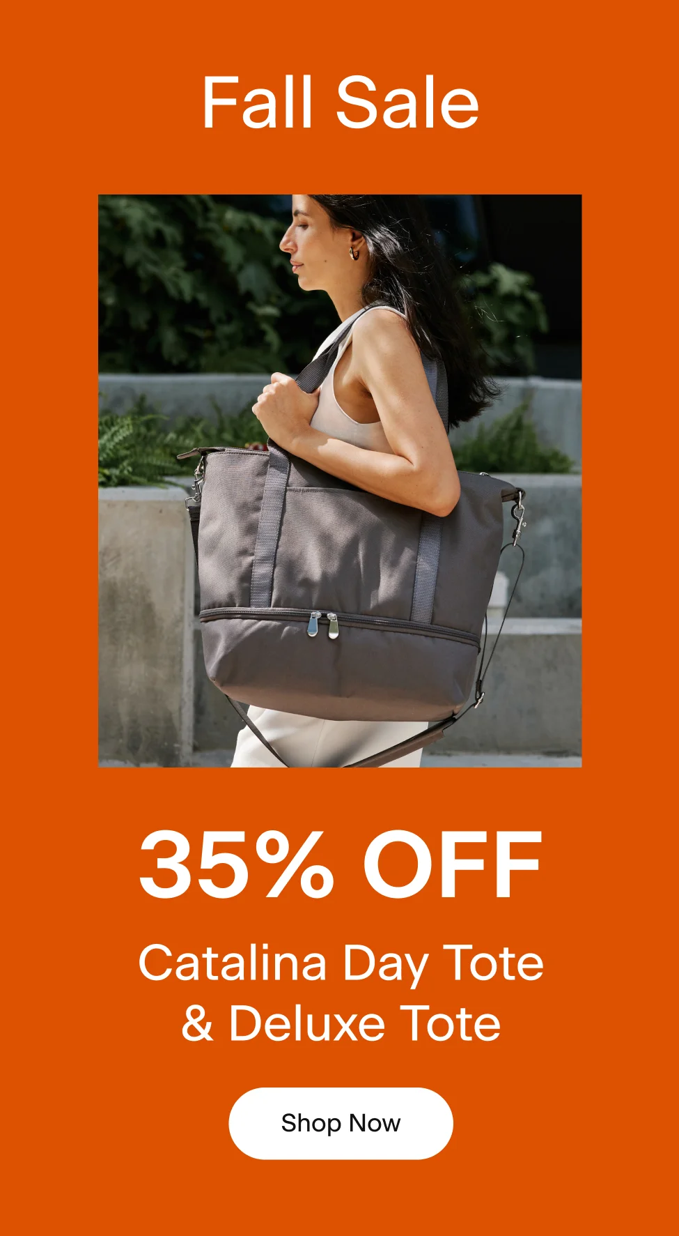 Fall Sale