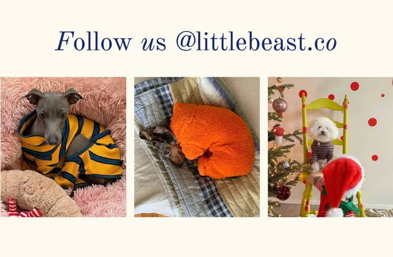 Follow us on Instagram