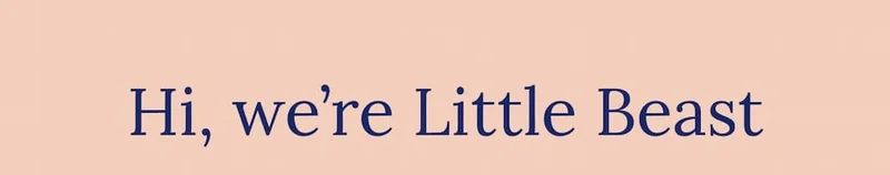 Hi, we’re Little Beast