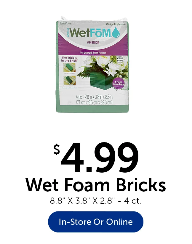 $4.99 Wet Foam Bricks - 4 ct.