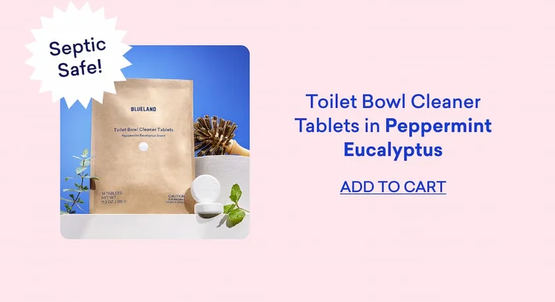 Shop Toilet Bowl Cleaner Tablets in Peppermint Eucalyptus.