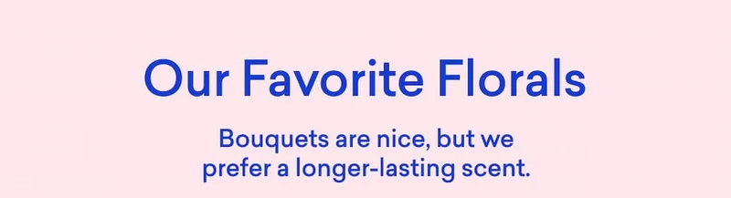 Shop our favorite scents!