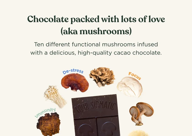 SHOP 20% OFF CHOCOLATE TODAY - Chocolate packed with lots of love (aka mushrooms) - Ten different functional mushrooms infused with a delicious, high-quality cacao chocolate.