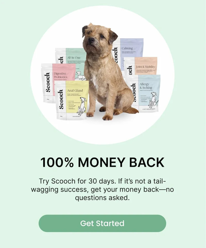 Get Started