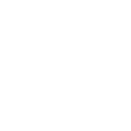 edge camera system