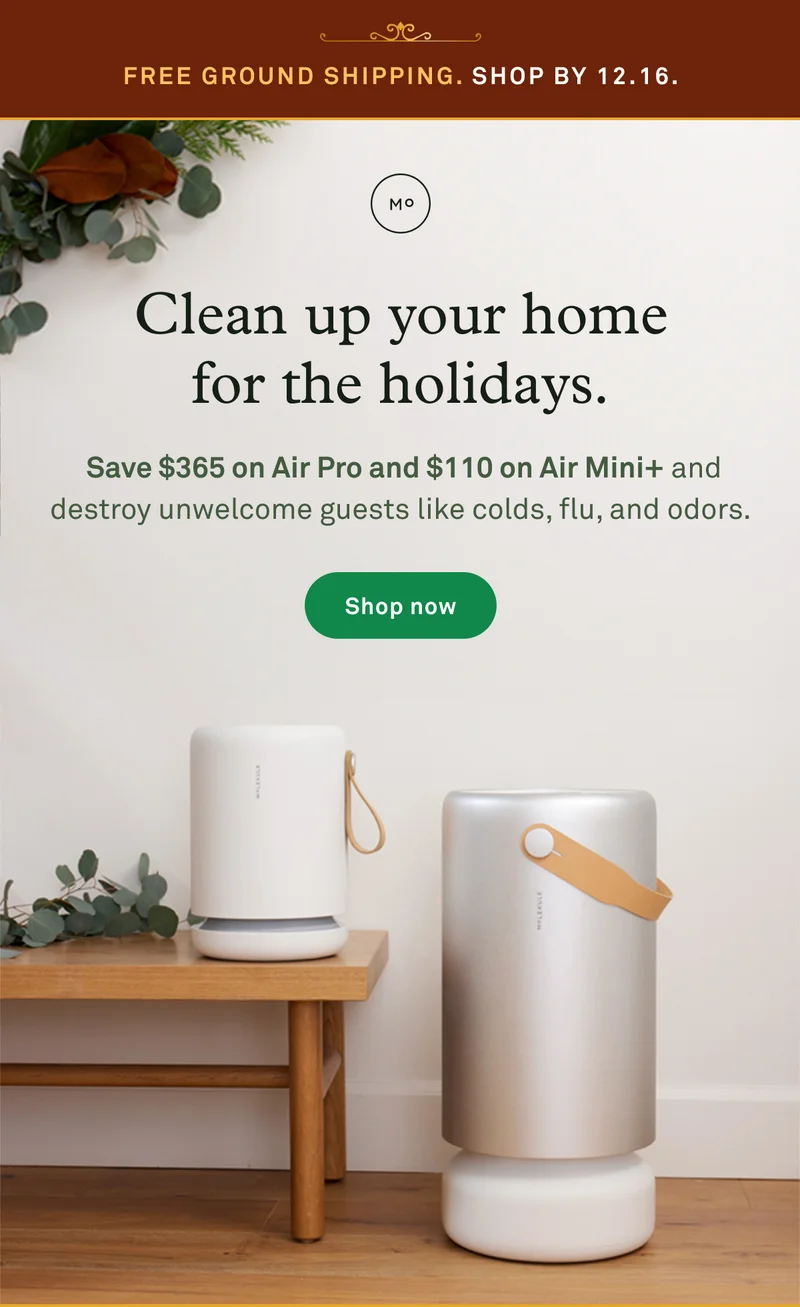 Clean up your home for the holidays