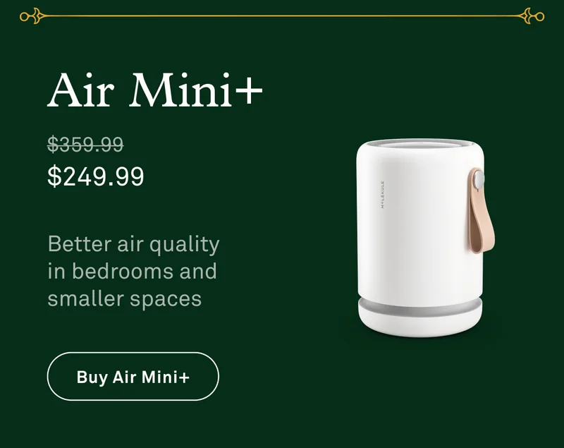 Air Mini+