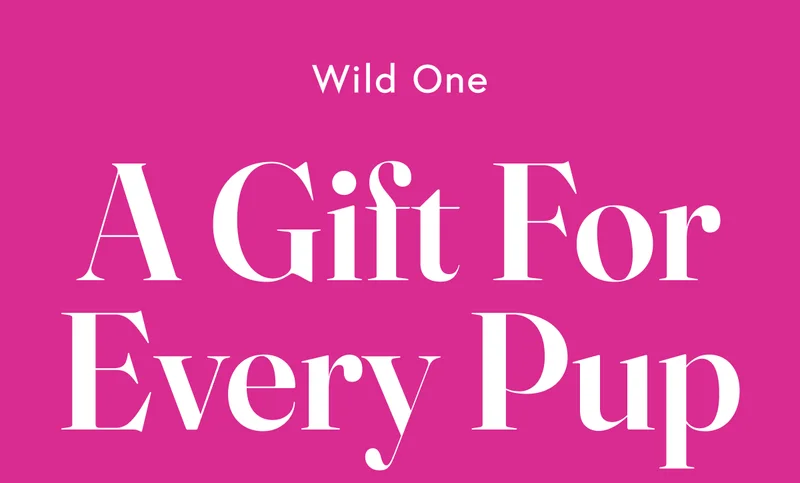 A Gift For Every Pup