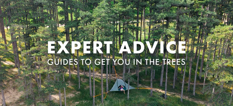 Expert Advice