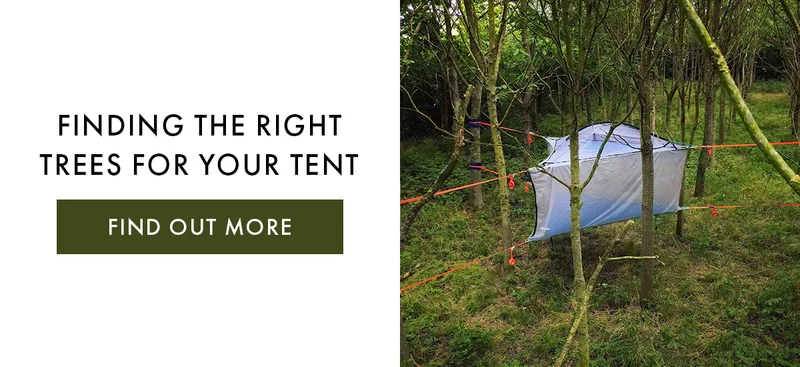Finding The Right Trees For Your Tent
