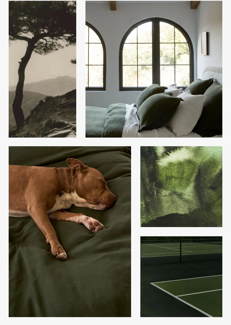 Linen in Evergreen | Shop Now