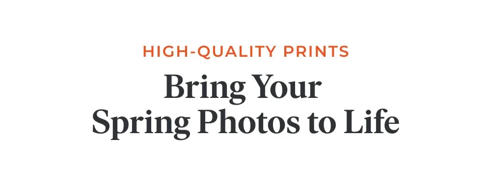Free Prints + Free Shipping + 50% Off Book Upgrades