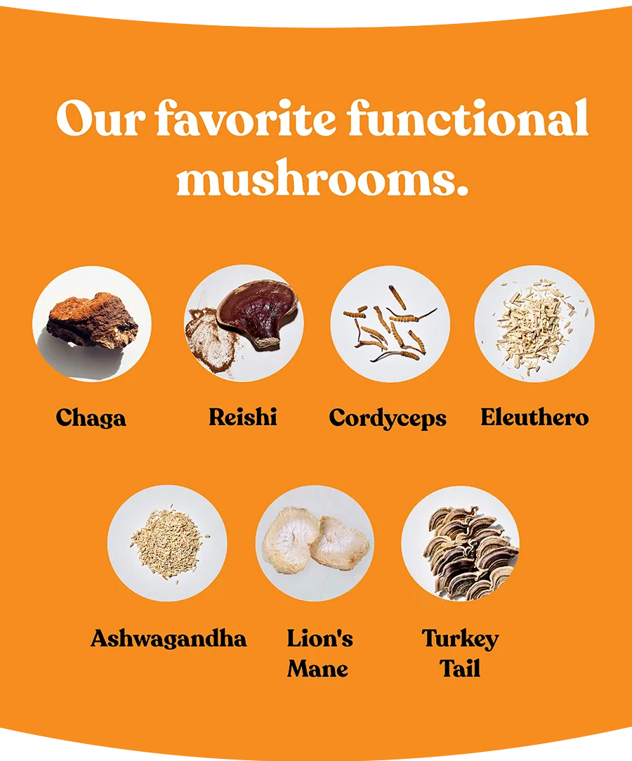Our favorite functional mushrooms: Chaga, Reishi, Cordyceps, Eleuthero, Ashwagandha, Lion's Mane, Turkey Tail