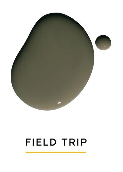 FIELD TRIP