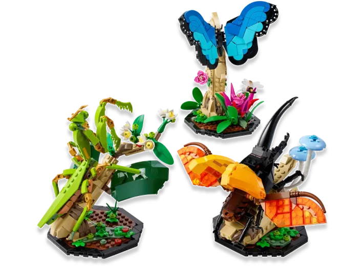 The Insect Collection