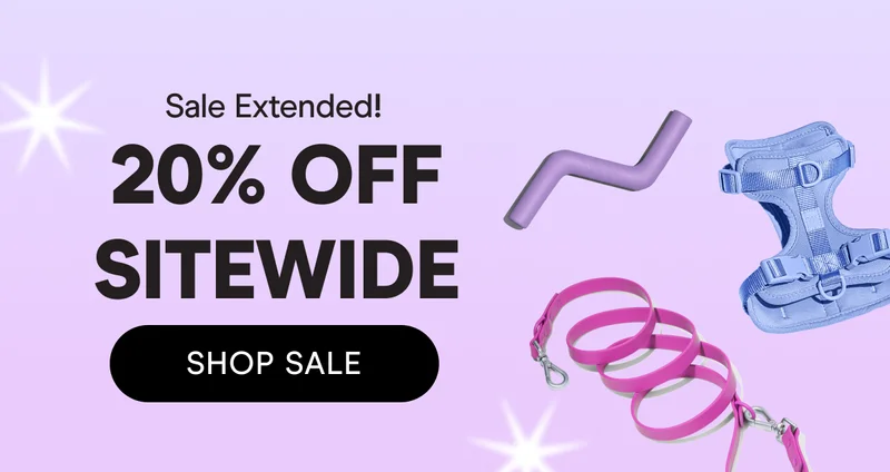 Flash Sale
