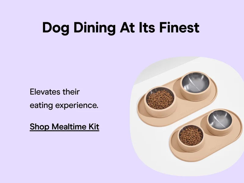 Mealtime Kit