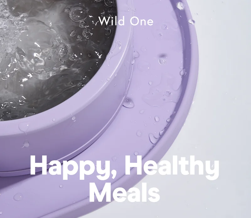 Happy, Healthy Meals
