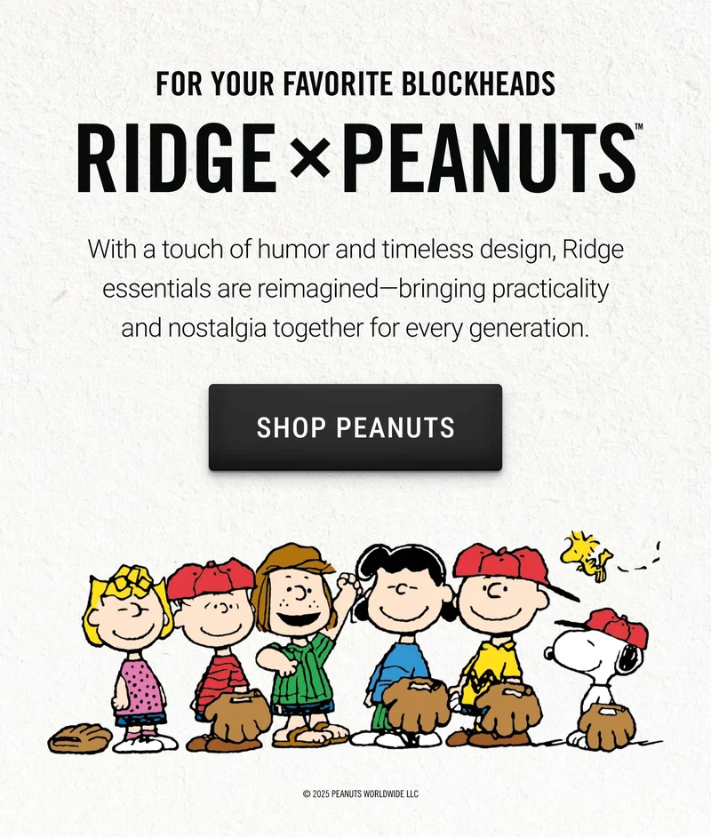 For Your Favorite Blockheads | Shop Ridge x Peanuts