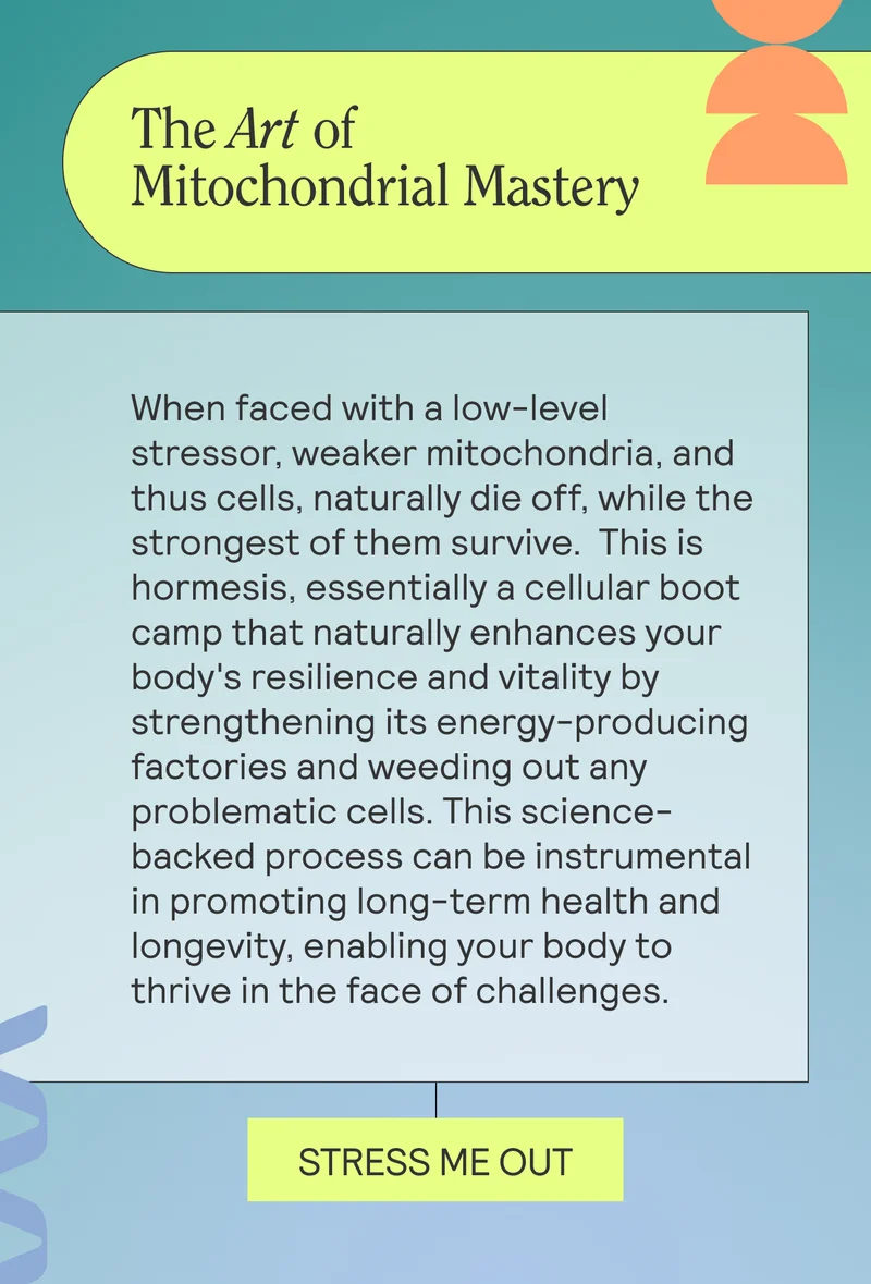 The Art of Mitochondrial Mastery  Body: When faced with a low-level stressor, weaker mitochondria, and thus cells, naturally die off, while the strongest of them survive.  This is hormesis, essentially a cellular boot camp that naturally enhances your body's resilience and vitality by strengthening its energy-producing factories and weeding out any problematic cells. This science-backed process can be instrumental in promoting long-term health and longevity, enabling your body to thrive in the face of challenges.