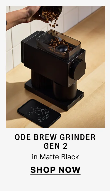 Ode Brew Grinder Gen 2 in Matte Black