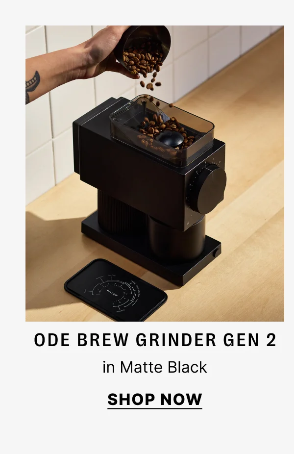Ode Brew Grinder Gen 2 in Matte Black