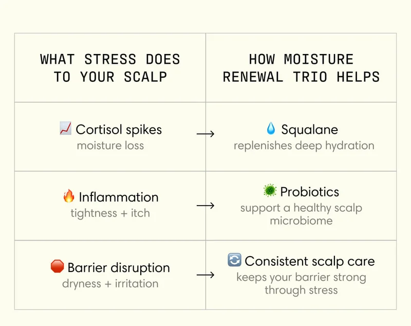What Stress Does to Your Scalp - Cortisol spikes moisture loss  - Inflammation tightness + itch - Barrier disruption dryness + irritation |  How Moisture Renewal Trio Helps - Squalane replenishes deep hydration  - Probiotics support a healthy scalp microbiome  - Consistent scalp care keeps your barrier strong through stress