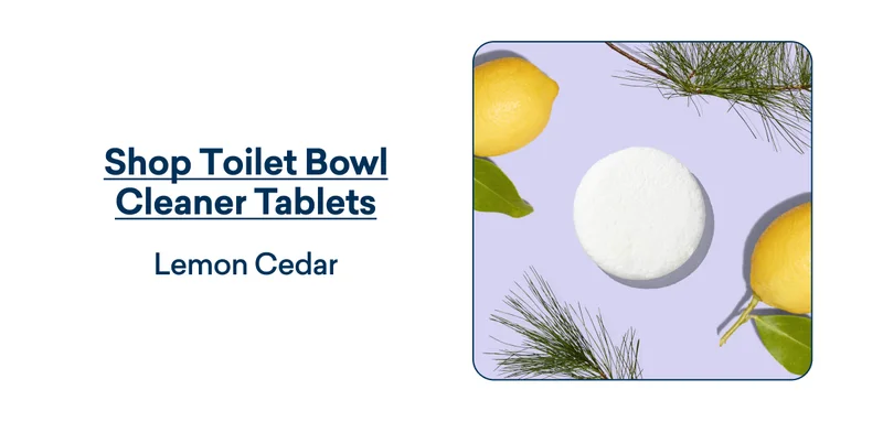 Toilet Cleaner