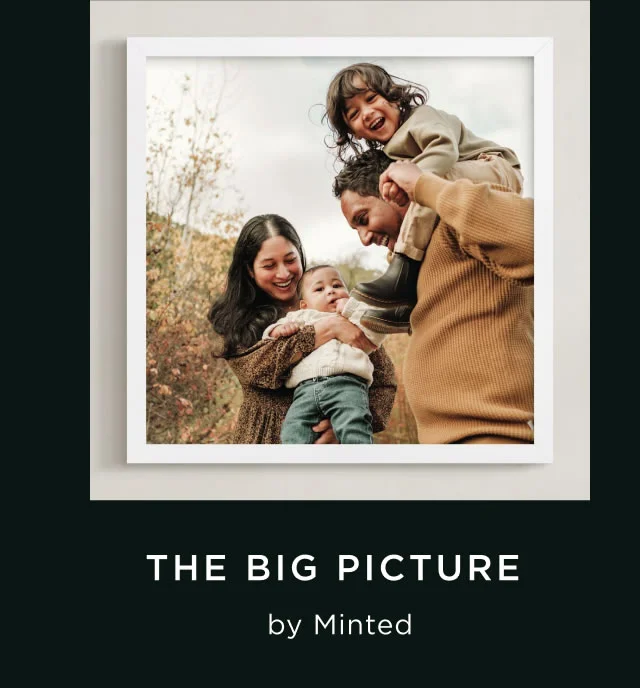 The Big Picture
