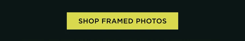Shop Framed Photos
