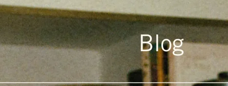 Blog