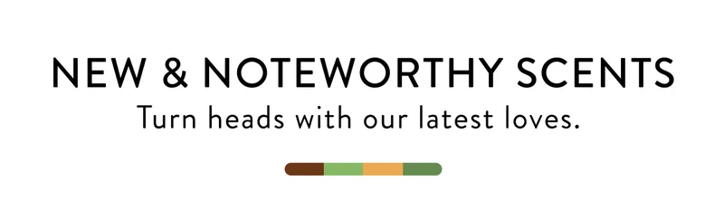 New and Noteworthy scents. Turn heads with our latest loves.