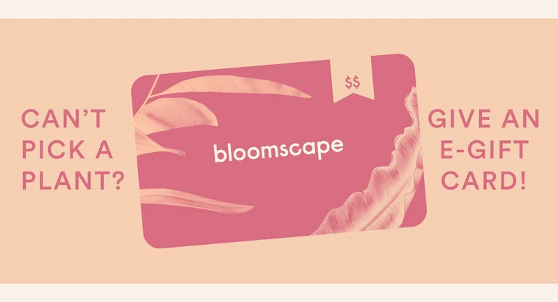 cant pick a plant? give an e-gift card