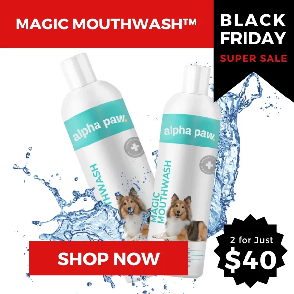 Early Black Friday Sale