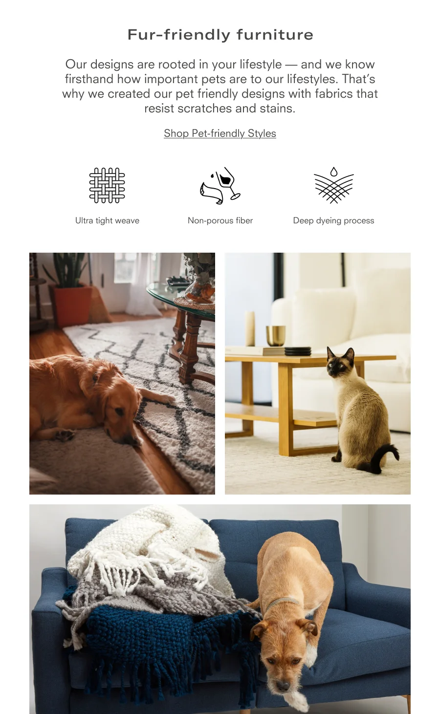 Shop Pet-friendly Styles