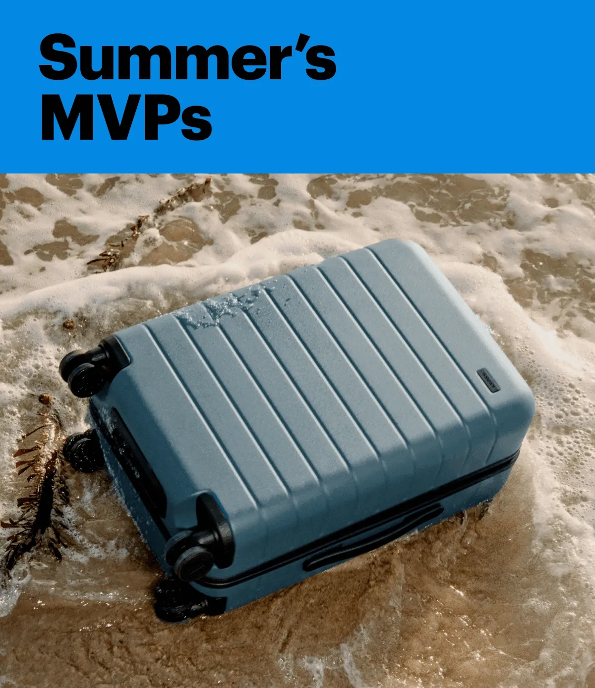 Summer's MVPs