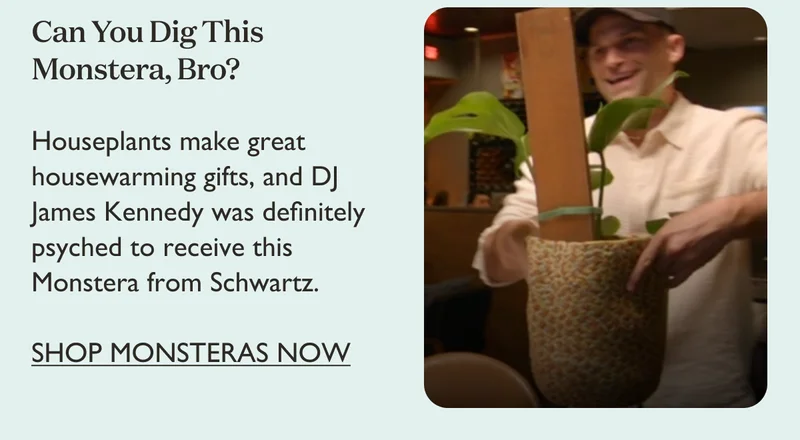 Houseplants make great housewarming gifts, and DJ James Kennedy was definitely psyched to receive this Monstera from Schwartz.