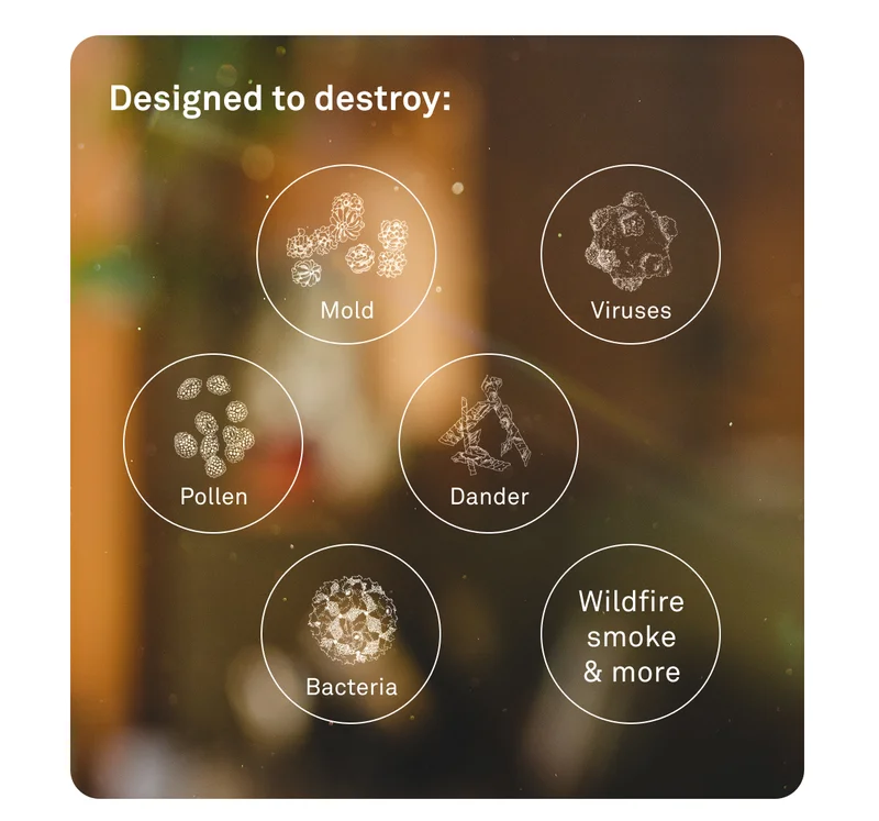 Reduce your exposure to viruses this fall