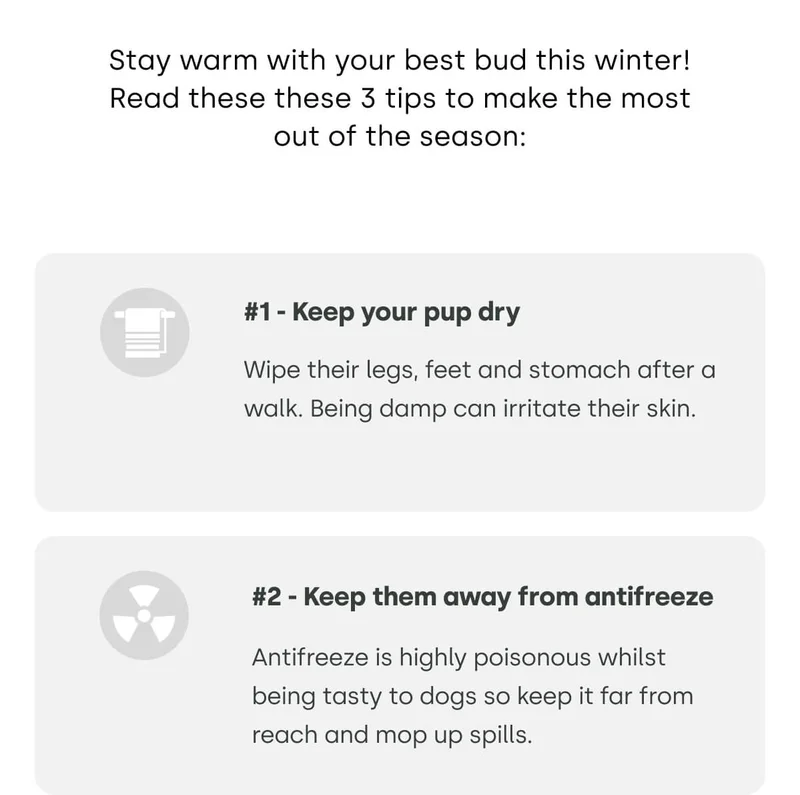 Stay warm with your best bud this winter! Read these these 3 tips to make the most out of the season