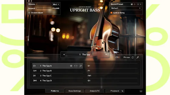 Upright Bass Upright Bass