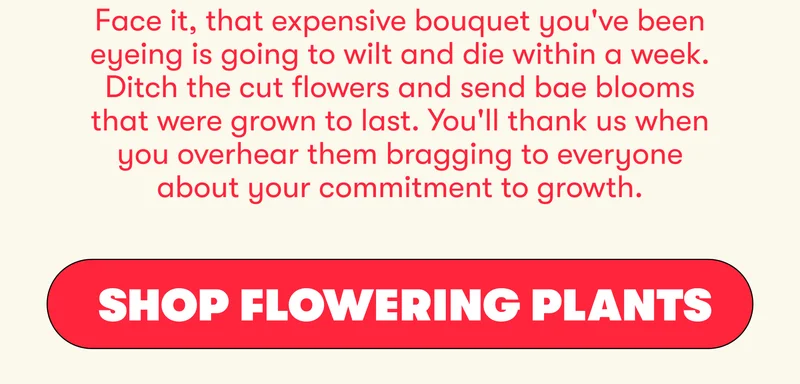 Face it, that expensive bouquet you've been eyeing is going to wilt and die within a week. Ditch the the cut flowers and send bae blooms that were grown to last. You'll thank us when you overhear them bragging to everyone about your commitment to growth