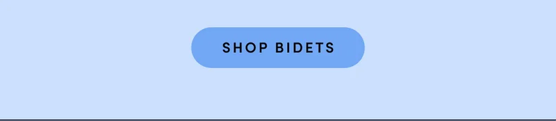 SHOP BIDETS