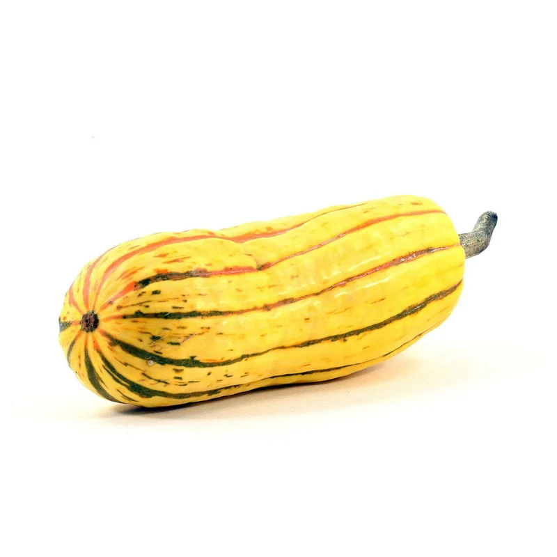 Organic Delicata Squash