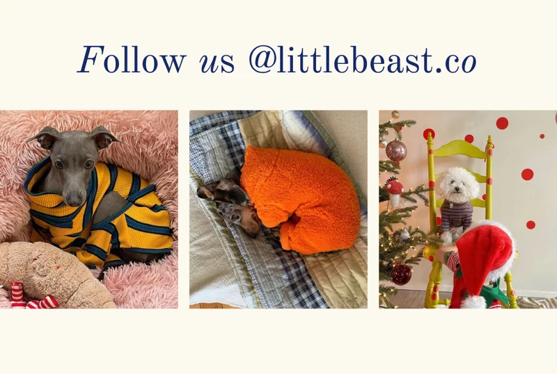 Follow us on Instagram