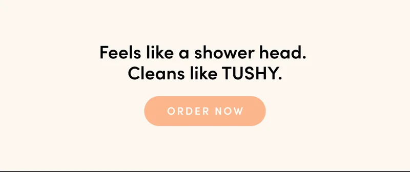 MEET TUSHY HANDHELD BIDET